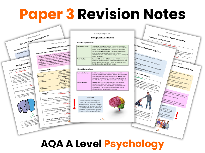 Paper 3 Revision Notes | A Level Psychology (AQA) New Spec