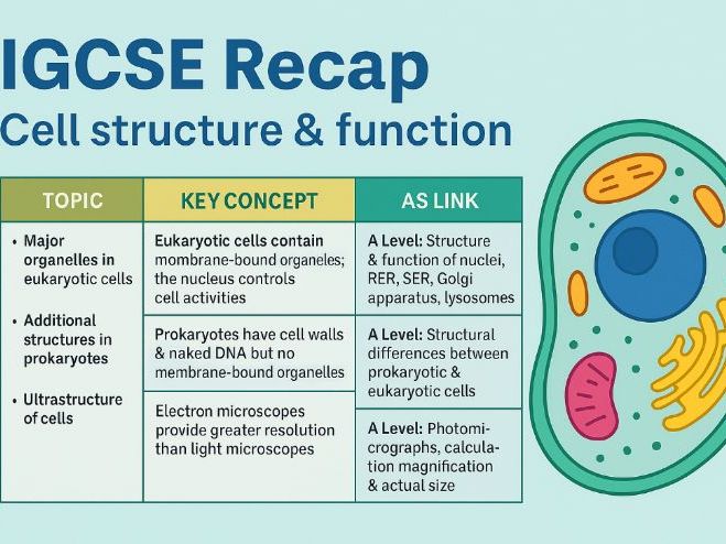 Bridging the Gap Between IGCSE & AS Level Biology | Transition Workbook & Study Skills Booster