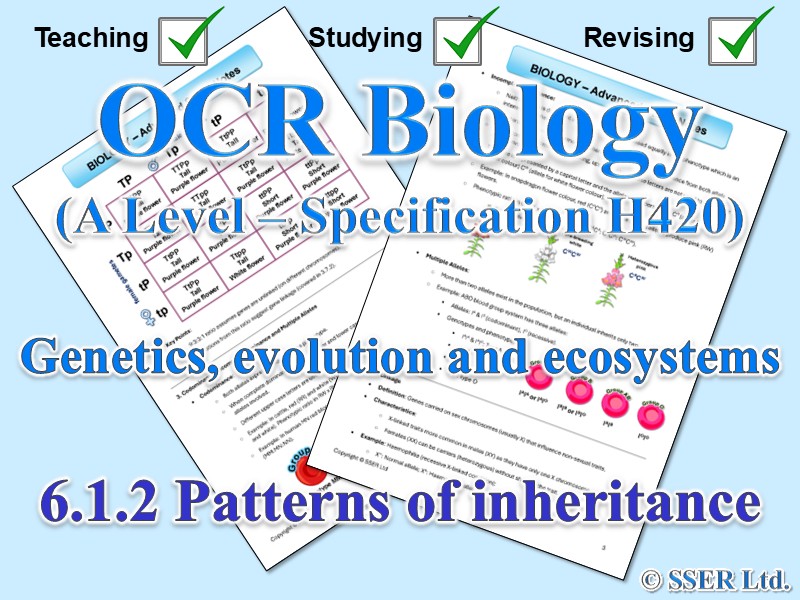 BIOA_OCR Topic Notes: 6.1.2 Patterns of inheritance