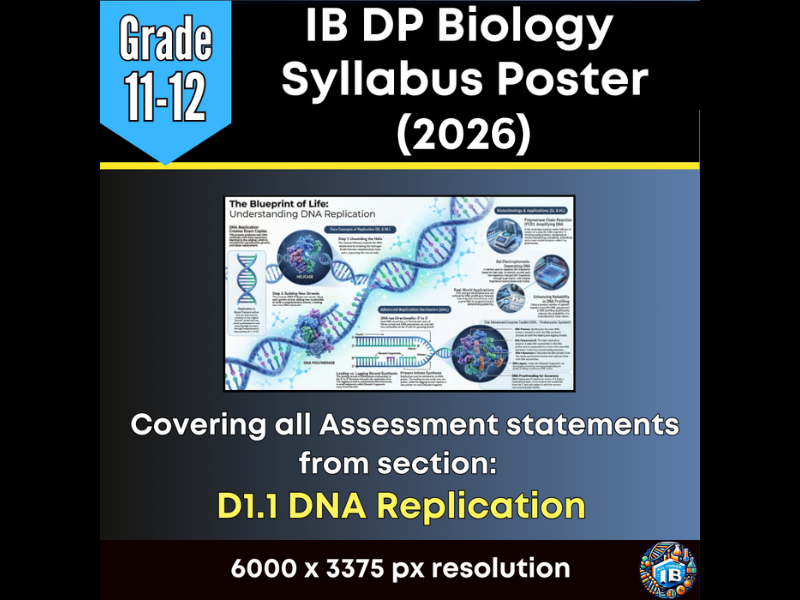 IB DP Biology Digital Infographic Poster: D1.1 DNA Replication  (2026)