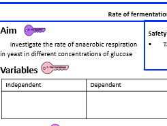 KS3 Rate of fermentation Write-Up