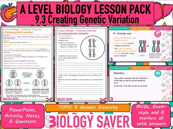 A Level Bio Lesson - 9.3 Creating Genetic Variation