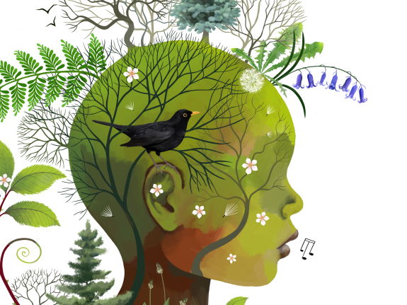 Forest School Practitioner Portfolio