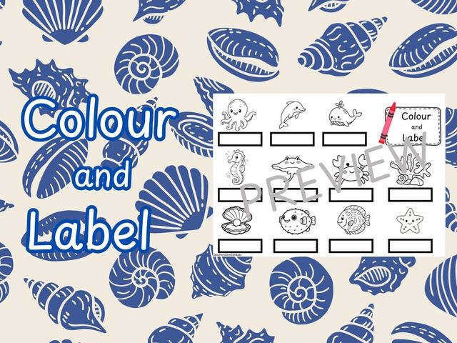 Ocean Colour & Label