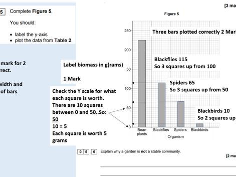 Mock exam power point feedback lesson AQA (with exam paper) 2019 Biology 8464 paper 2 foundation