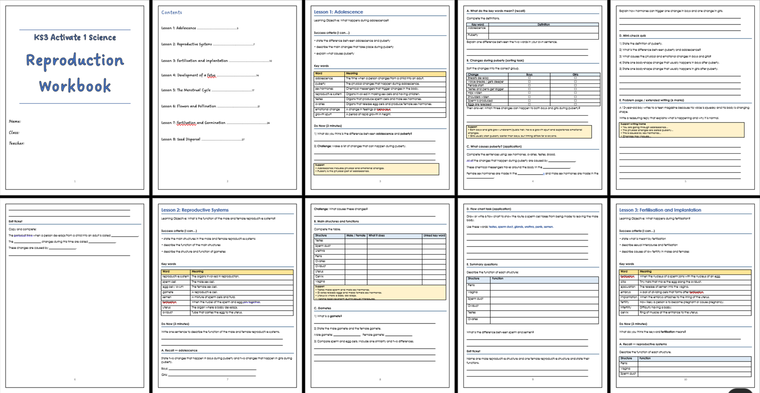 docx, 55.8 KB