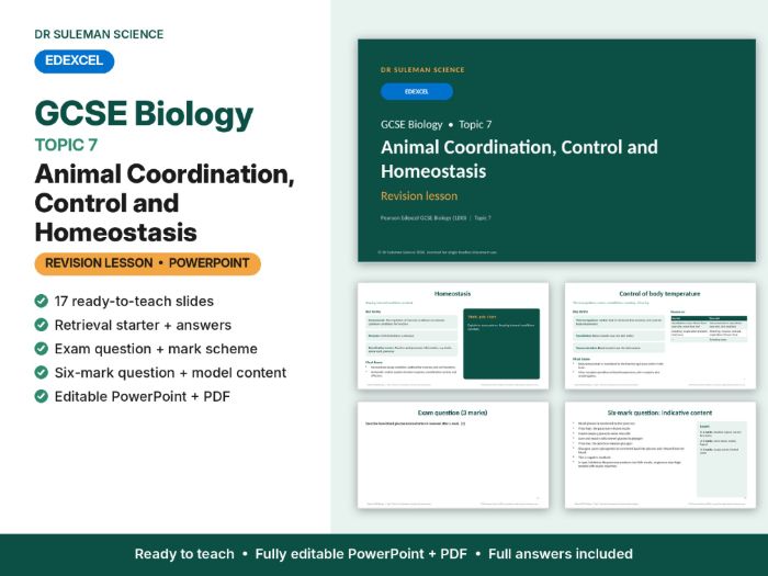 Edexcel GCSE Biology Topic 7 Coordination & Homeostasis Revision Lesson