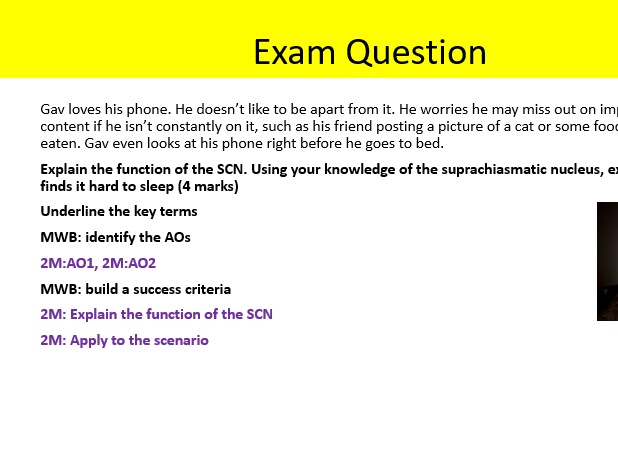 AQA Psychology endogenous and exogenous zeitgebers biopsychology