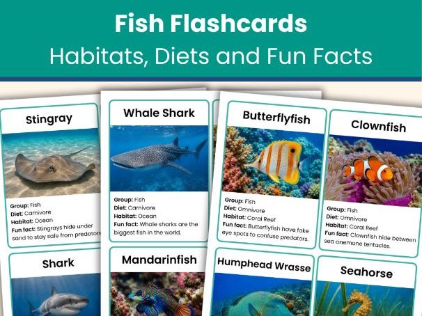 Fish Flashcards | Animal Classification Cards | Habitats, Diets and Fun Facts | Printable Resource