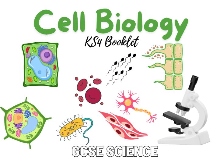 AQA Cell Biology (Booklet)