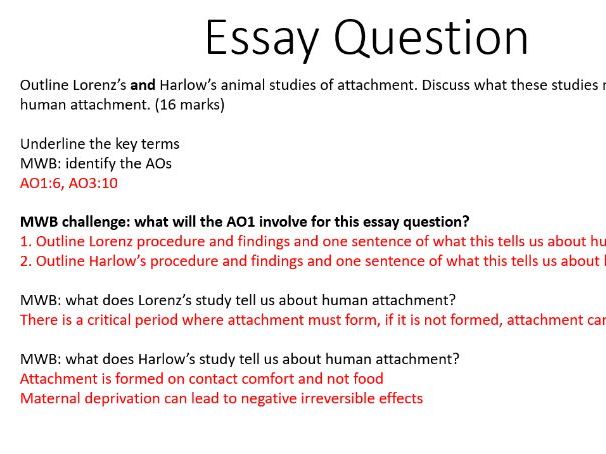 AQA Psychology attachment revision