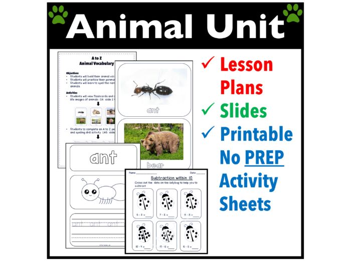 Animal unit activities worksheets kindergarten 1st Grade