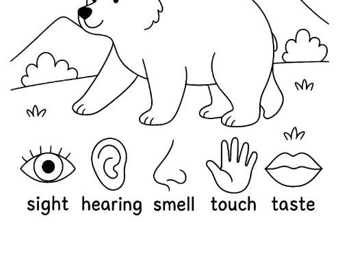 The Bear Went Over the Mountain Colouring Page- FIVE SENSES