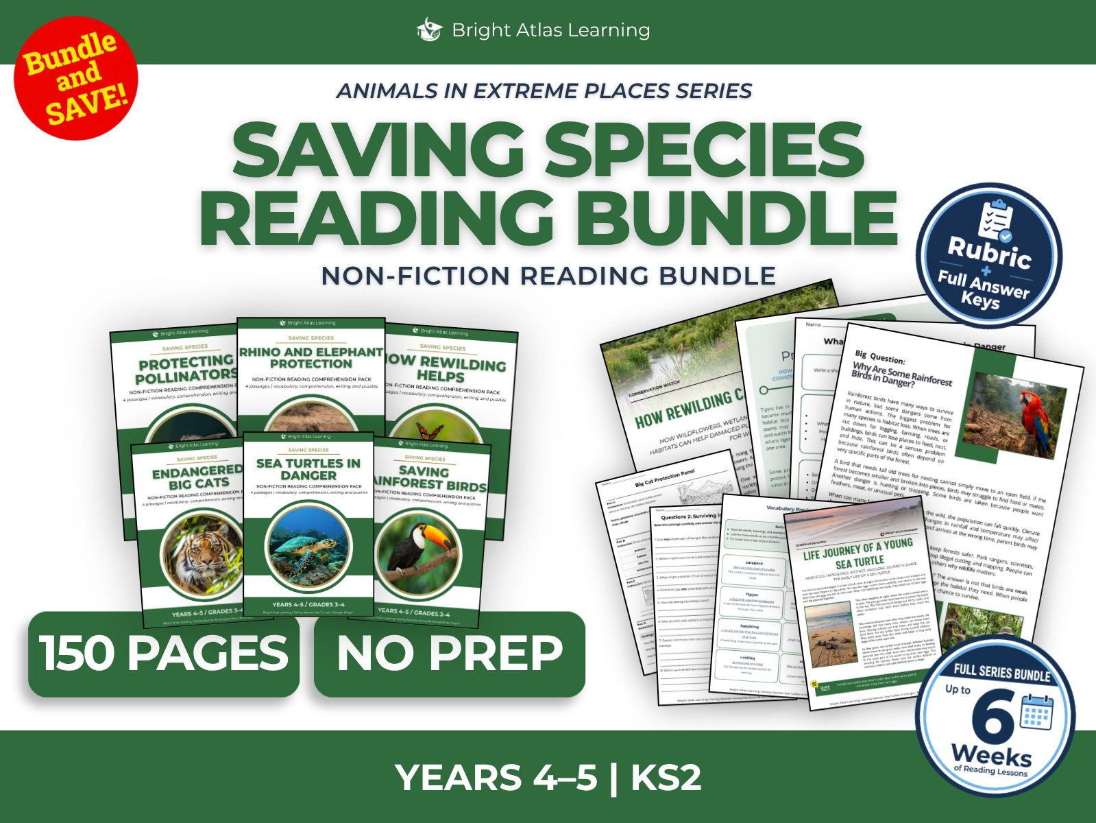 Endangered Animals Reading Comprehension Bundle | KS2 Years 4–5