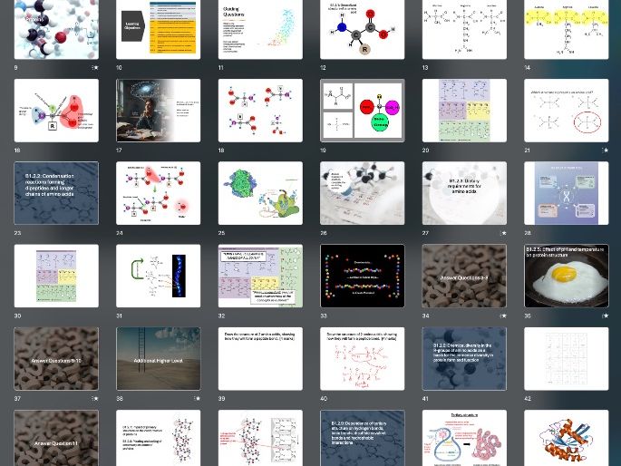 B1.2 Proteins (IB Biology SL/HL)