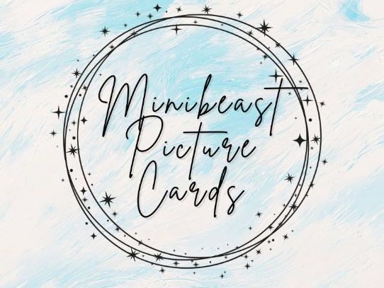 Minibeasts Picture Cards