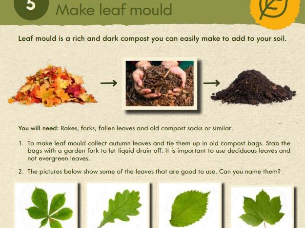 Make leaf mould for your school garden