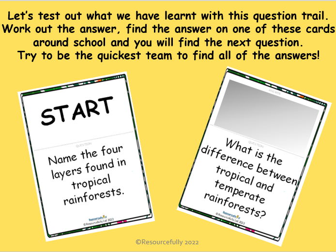 FREE Rainforest Summarising Lesson