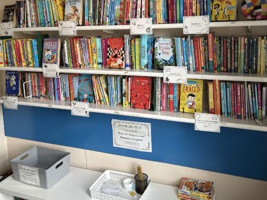 Classroom Library Labels & Book Review Pack