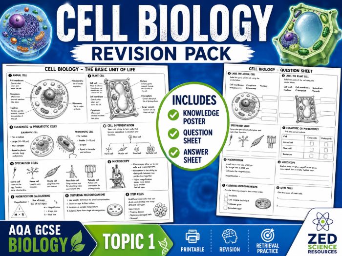 AQA GCSE Biology Topic 1 Cell Biology Revision Pack | Poster & Worksheet