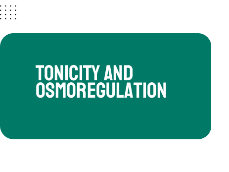AP Biology Unit 2: Tonicity and Osmoregulation
