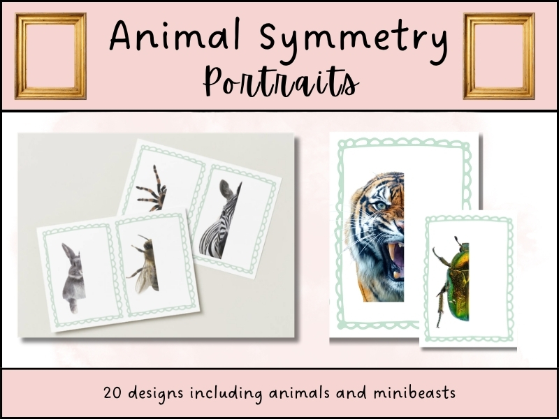 Animal Symmetry Maths Drawing Activity EYFS
