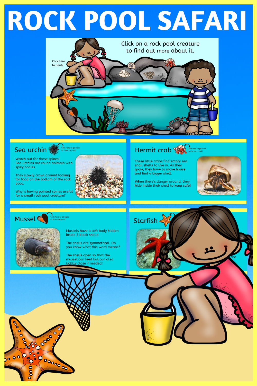 Rock pool habitats animals PowerPoint KS1 Teaching Resources