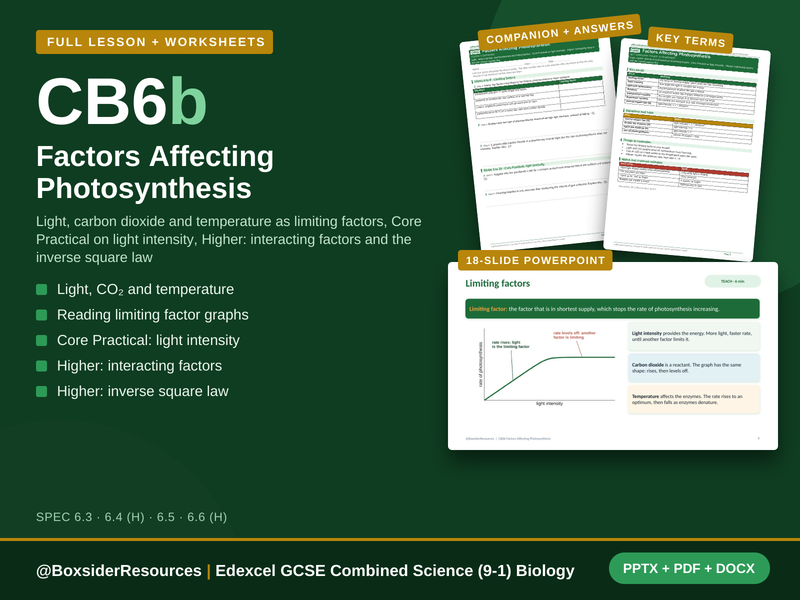 CB6b Factors Affecting Photosynthesis | Edexcel Combined Science (9-1) | Lesson + Worksheet