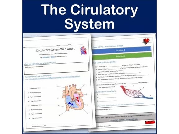 Circulatory System Webquest | Editable Digital Science Activity