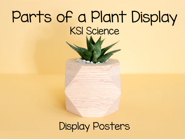 Parts of a Plant Display pack for KS1 Science