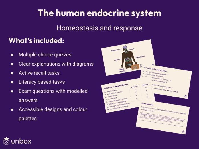 AQA GCSE 4.5.3.1 Human endocrine system