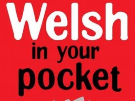 Learn Welsh Bundle - 15 lessons
