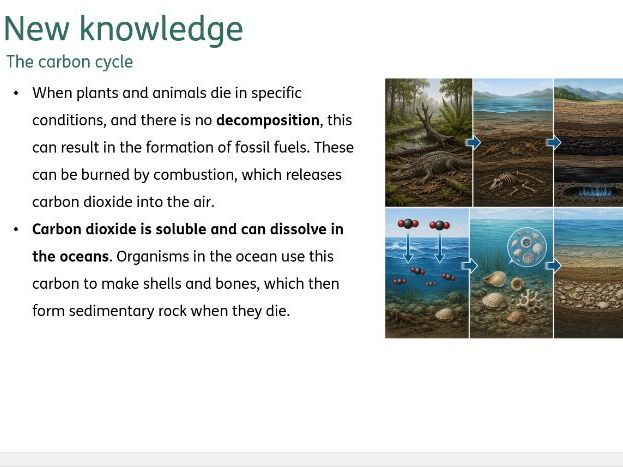 How materials are cycled