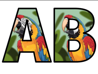 Parrot Bird Colorful Brazil Lettering Set Display Title Letters Numbers ...