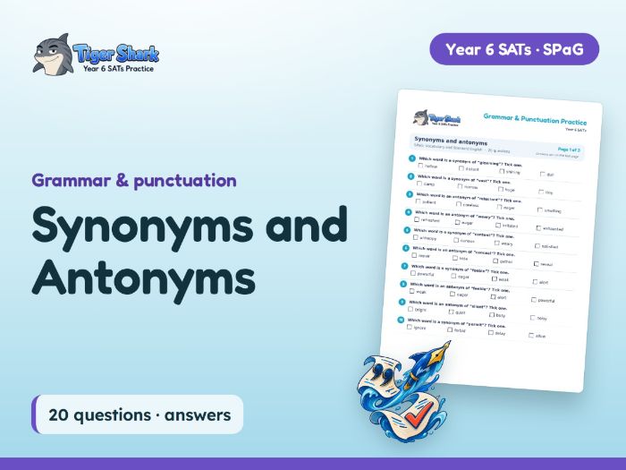 Synonyms and Antonyms Worksheet: Year 6 SPaG
