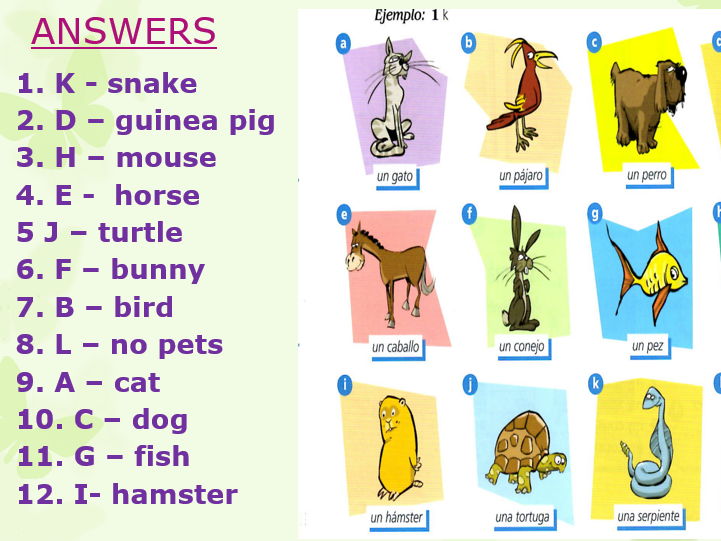 Animales - Naming & describing pets / animals - Spanish KS2/3