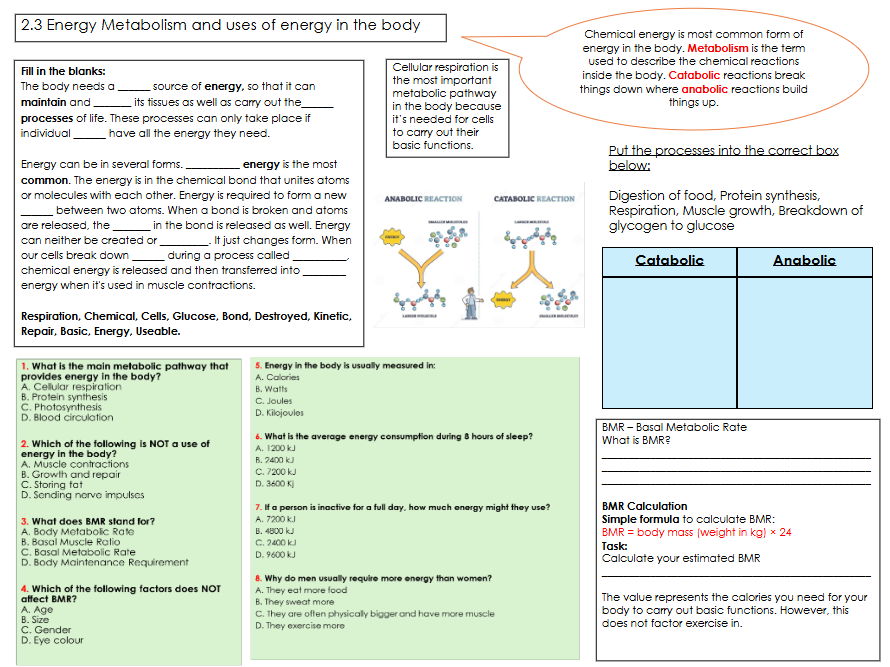 BTEC AAQ_Unit 2_Human Biology_2.3 Energy Metabolism Revision Sheet