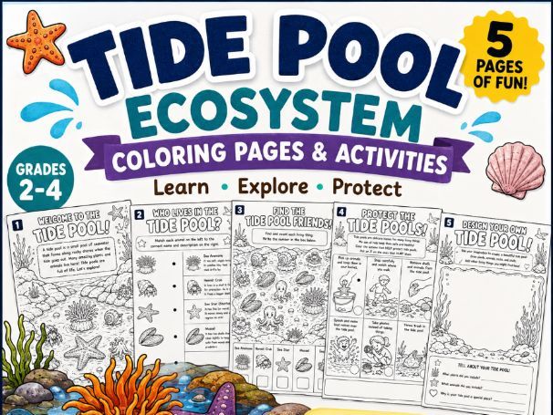 Tide Pool Ecosystem Coloring Pages | Ocean Habitat Activities | Marine Science| Ages 7-10