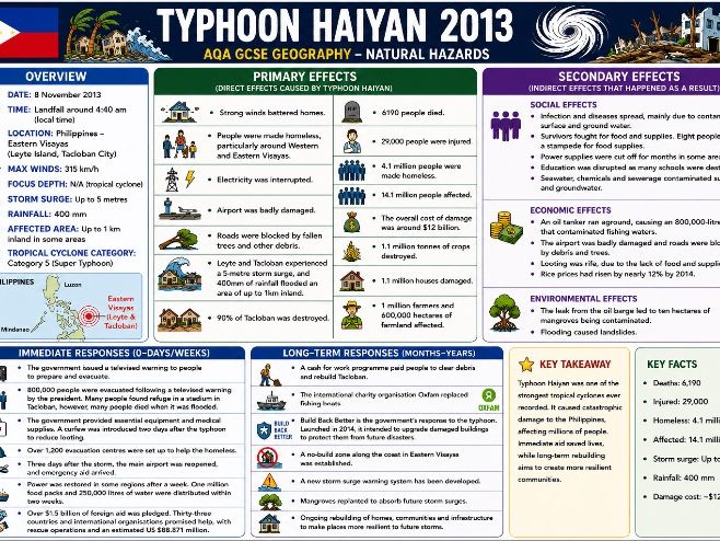Typhoon Haiyan Case Study Infograph