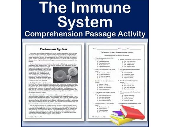 The Immune System - Biology Reading Comp Passage & Activity | Editable