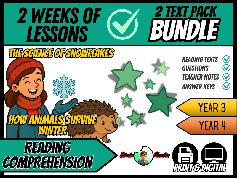 Winter Wonders Bundle | Reading Comprehension | Year 3/4