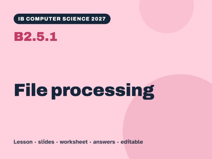 IB Computer Science 2027 – B2.5.1 File processing – Lesson & Worksheet
