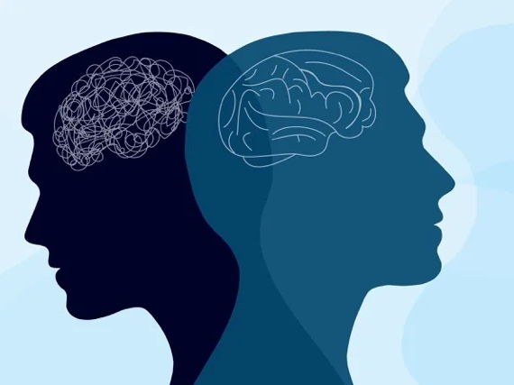 Biopsychology Bundle