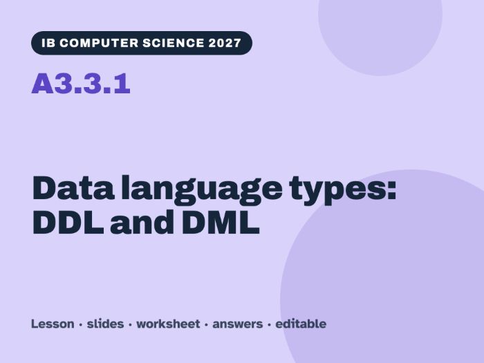 IB Computer Science 2027 – A3.3.1 Data language types: DDL and DML – Lesson & Worksheet