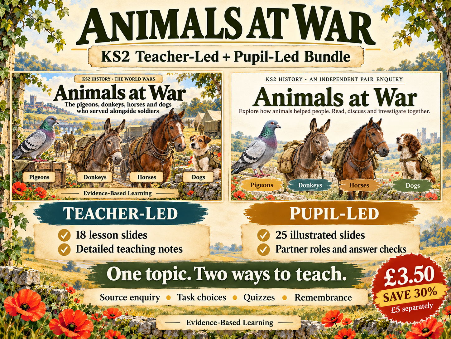 Animals at War KS2 | Teacher-Led + Pupil-Led Lesson Bundle