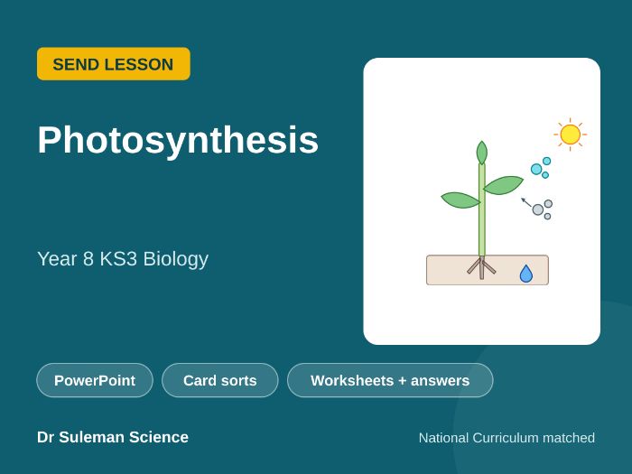 Photosynthesis SEND Lesson KS3 Year 8