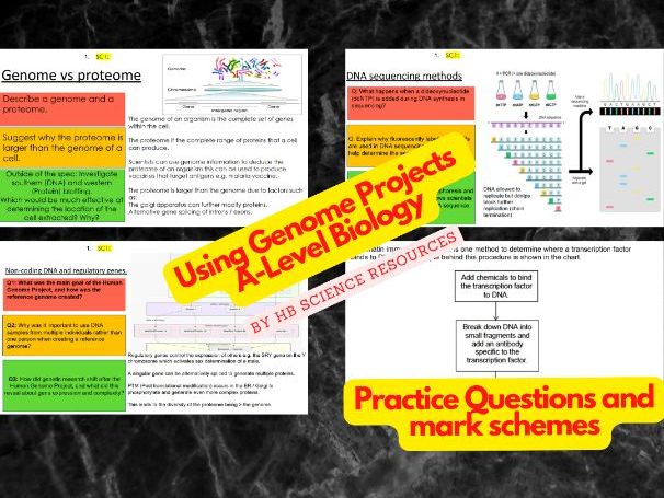Using Genome Projects A level Biology