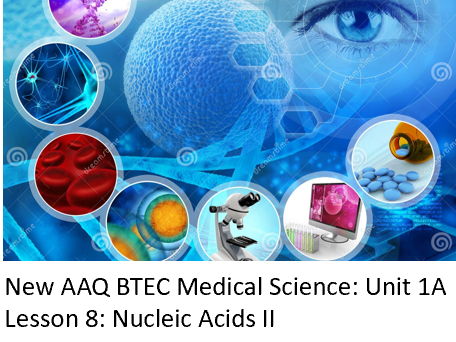 NEW: AAQ BTEC Medical Science Unit 1A - Lesson 8 Nucleic Acids II