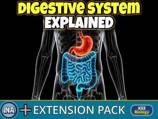 The Human Digestive System - KS3 Biology Extension Pack