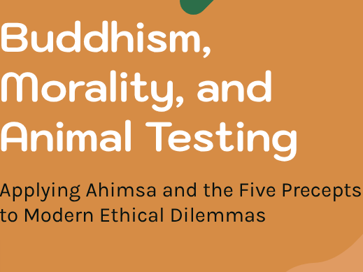 Y9 - Buddhism, Ahimsa and Moral Decision‑Making (PPT & Worksheet Pack)
